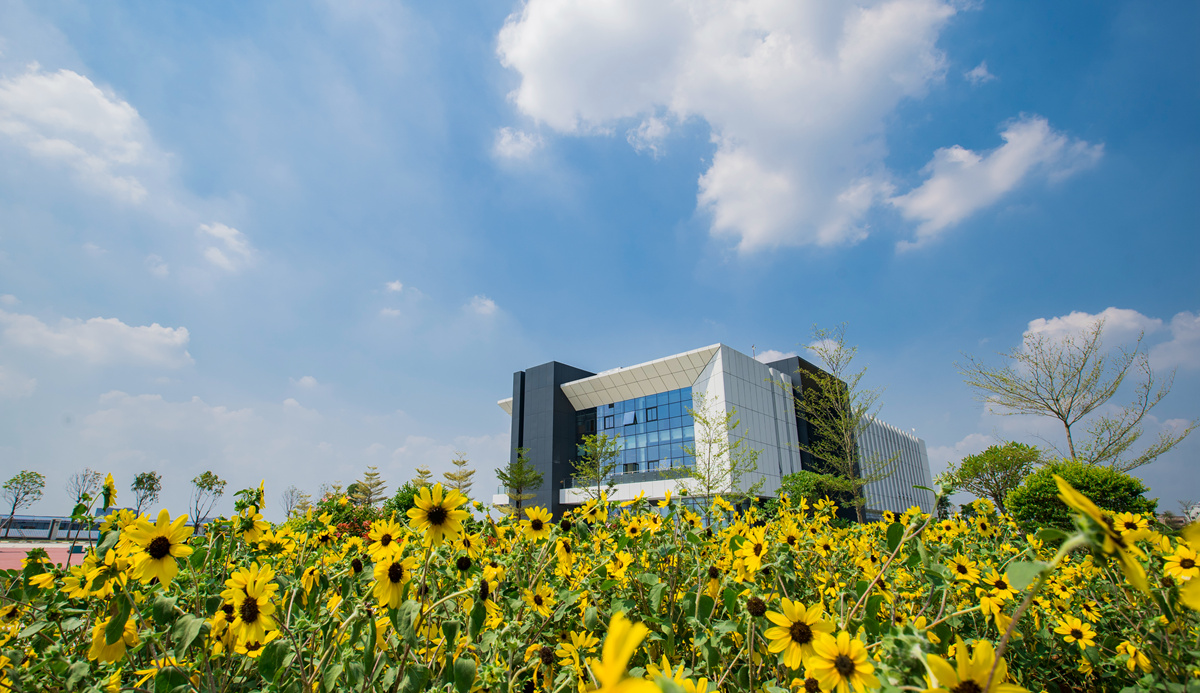 康健城利盈娱乐厂